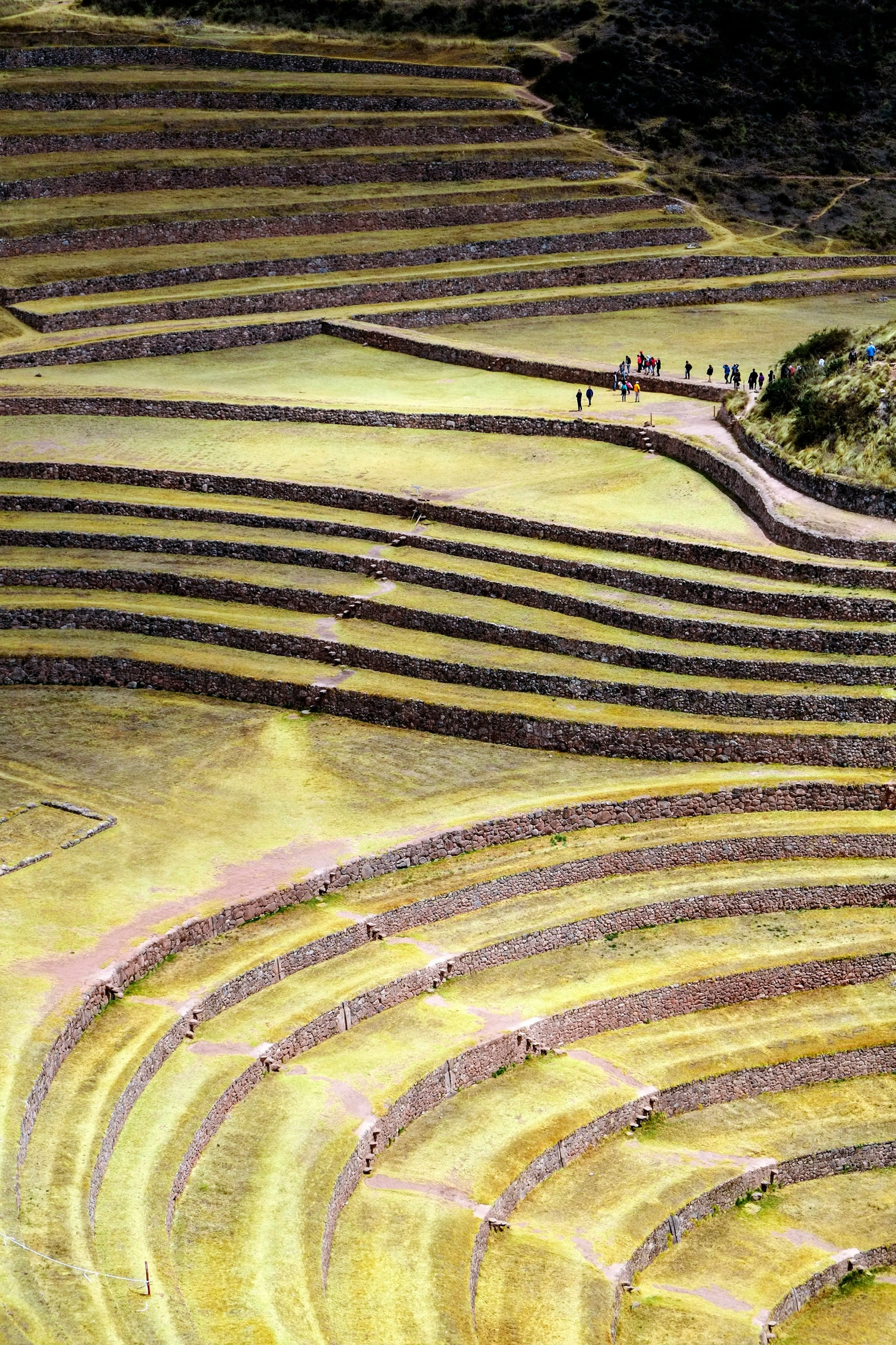 Inca agricultural terraces in the Sacred Valley